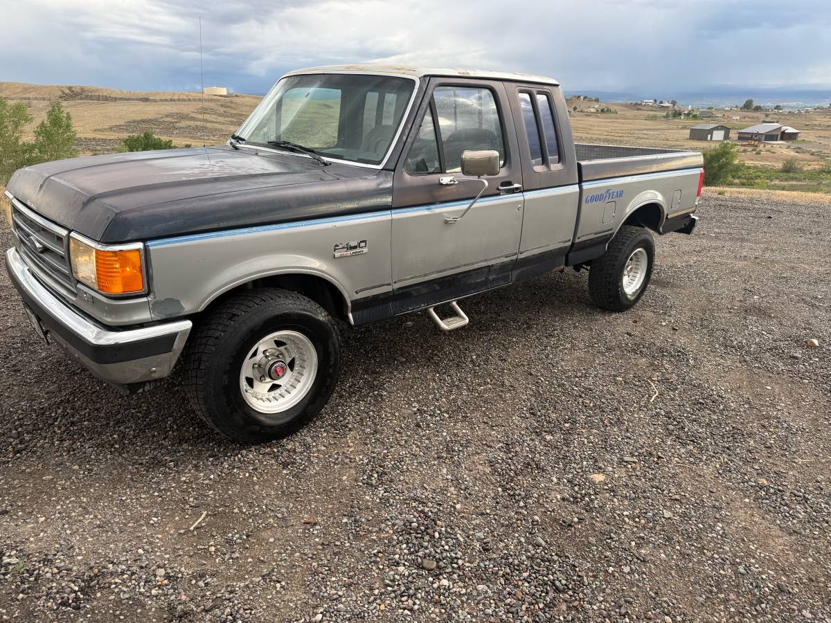 Ford-F-150-1990-blue