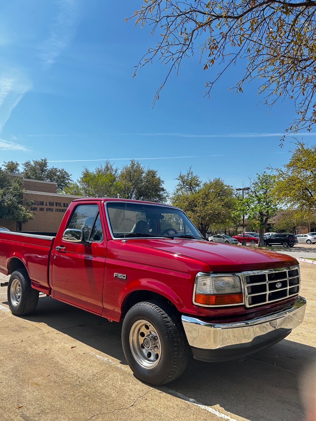 Ford-F-150-1996-Standard-Cab-Pickup-Gray