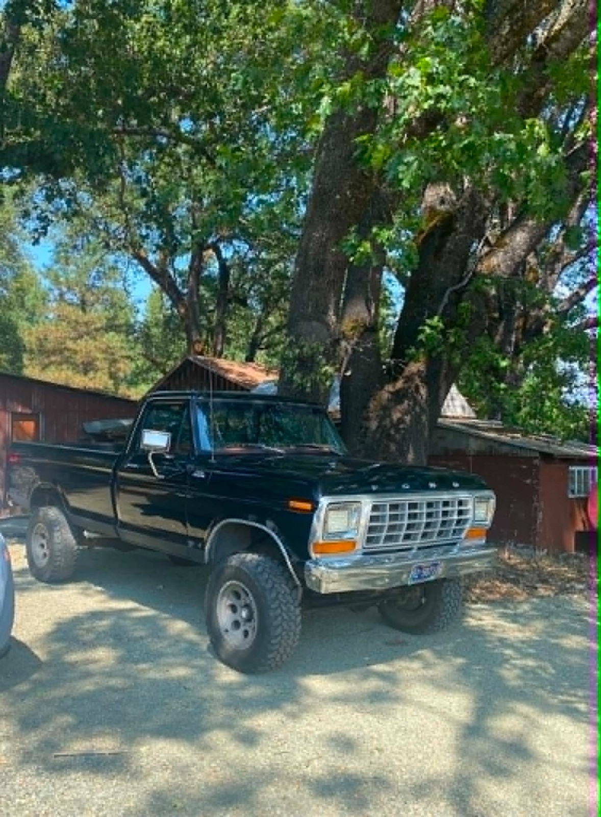 Ford-F-250-1979-Standard-Cab-Pickup