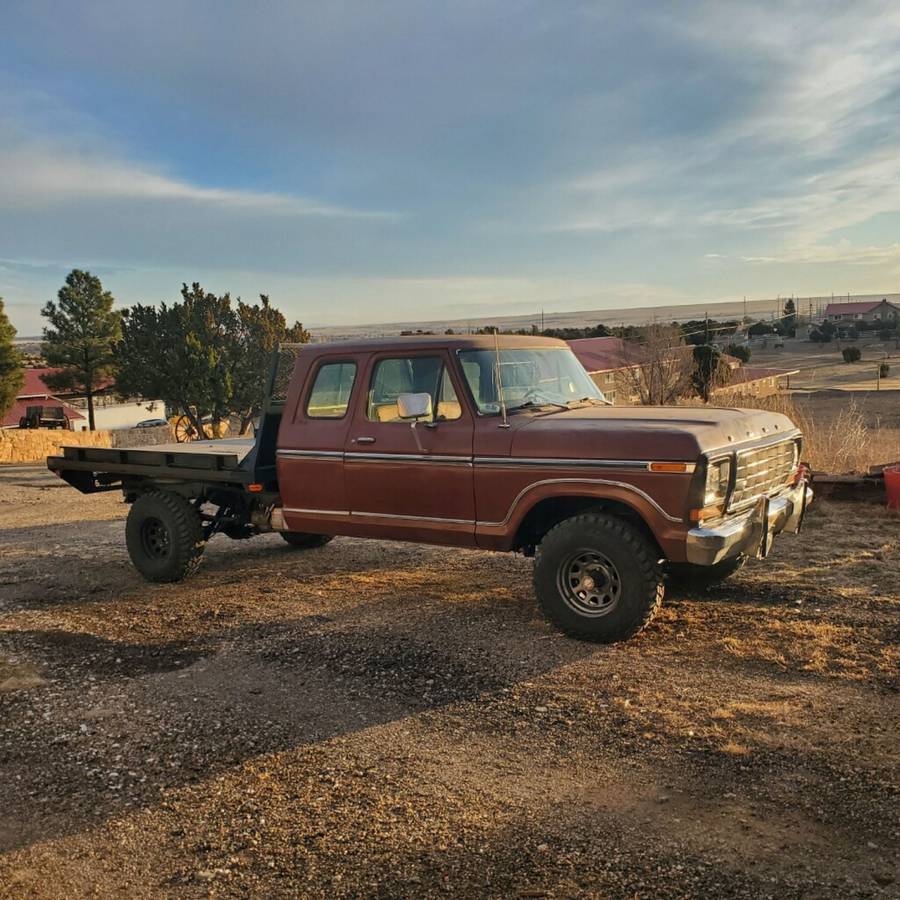 Ford-F-250-1979-brown