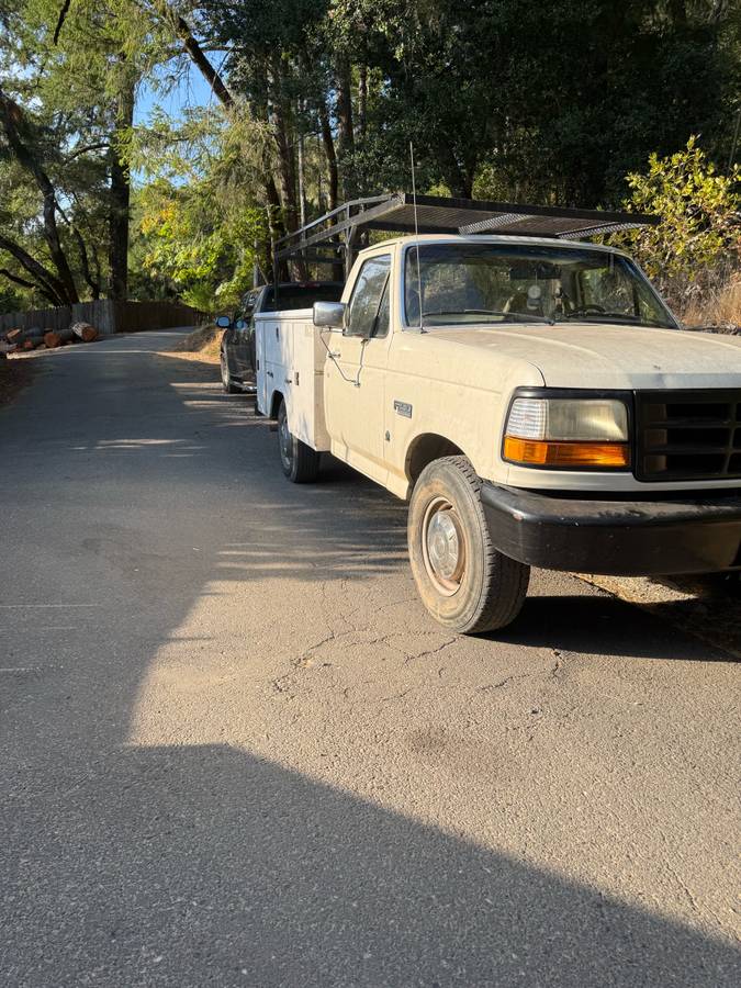 Ford-F-250-1996-white