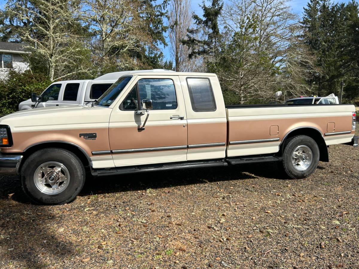 Ford-F-250-diesel-1995-brown