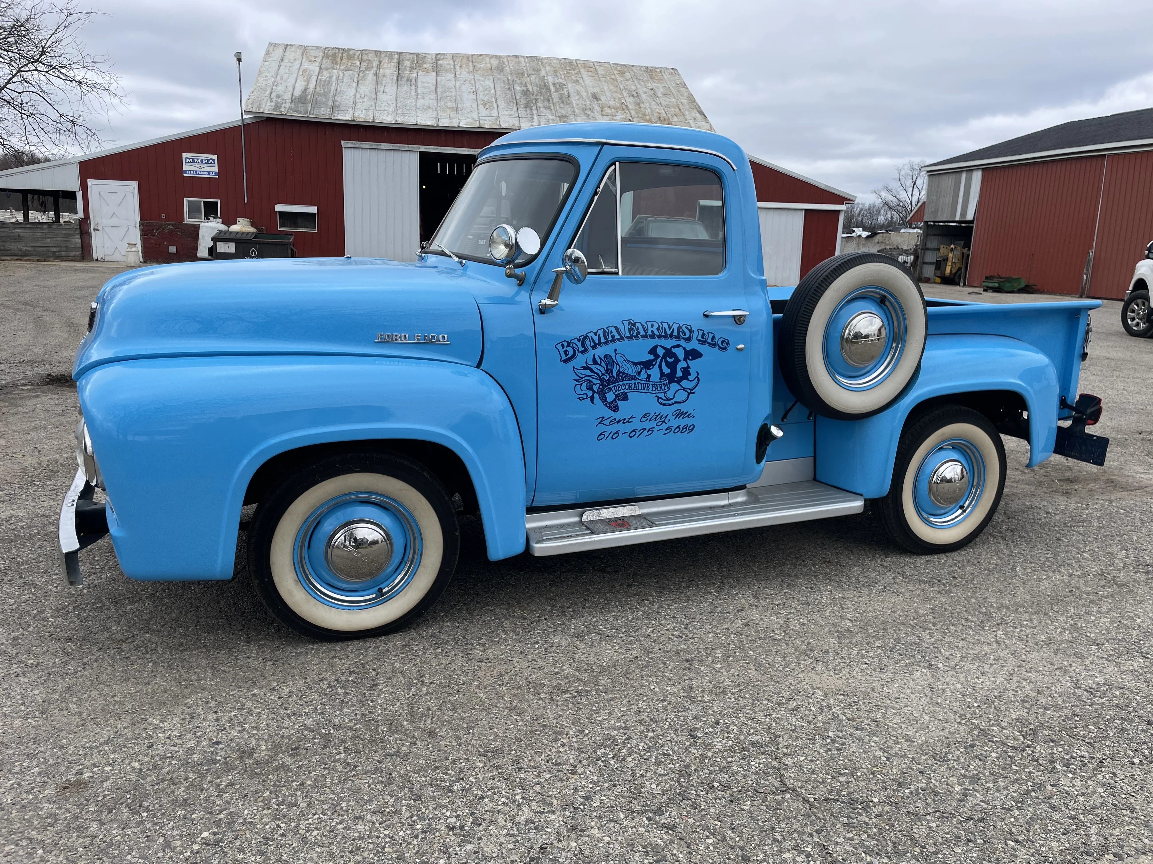 Ford-F100-2wd-regular-cab-1954-Blue-Gray