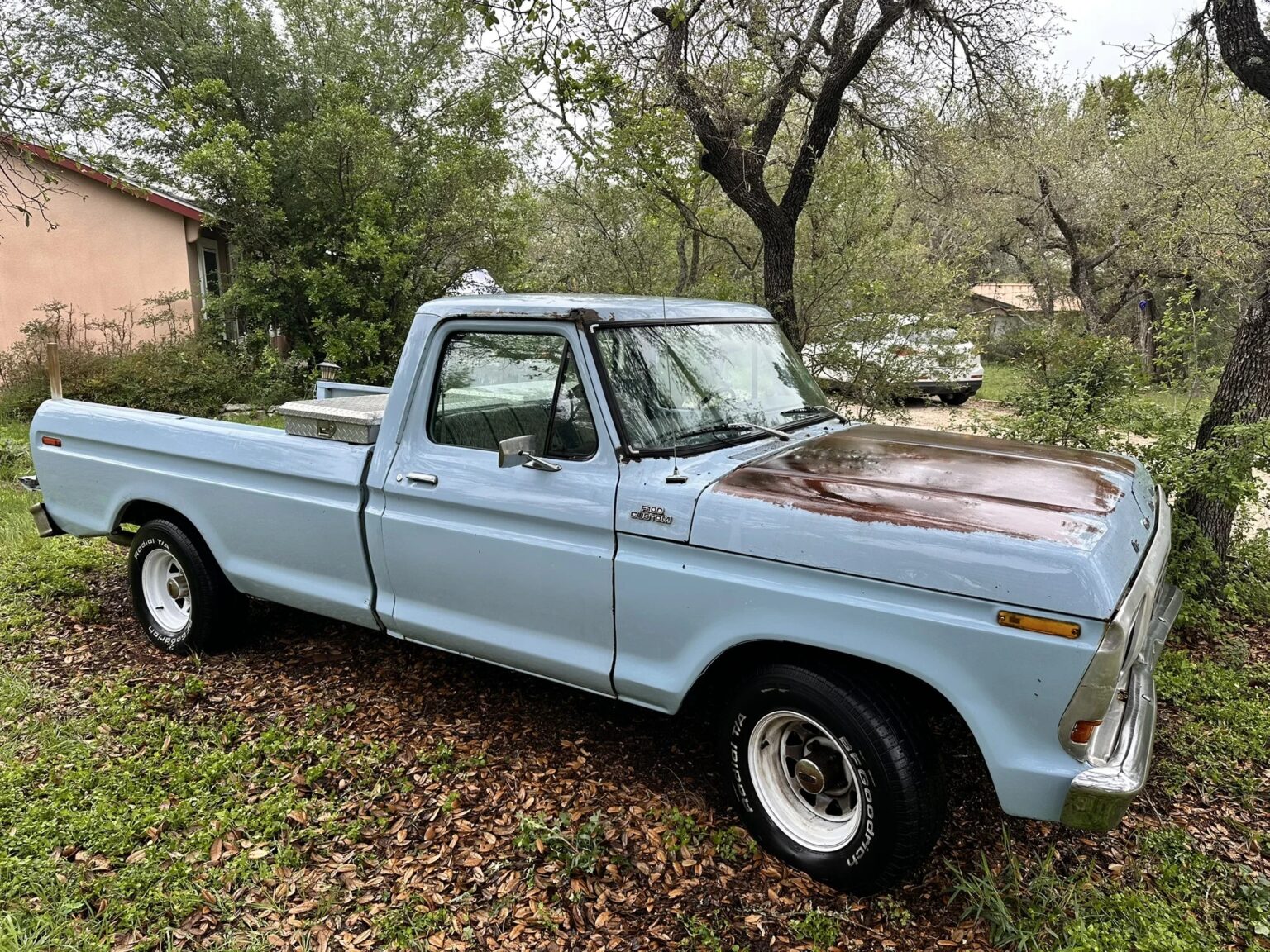 Ford F100 2wd regular cab 1979, photo 1