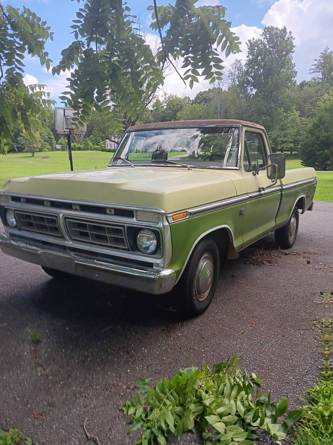 Ford-F100-pickup-1976-green