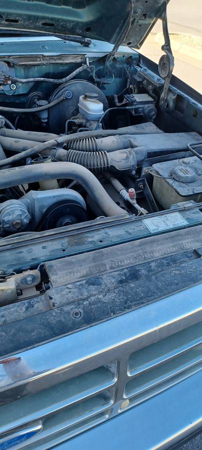 Ford-F150-1993-green