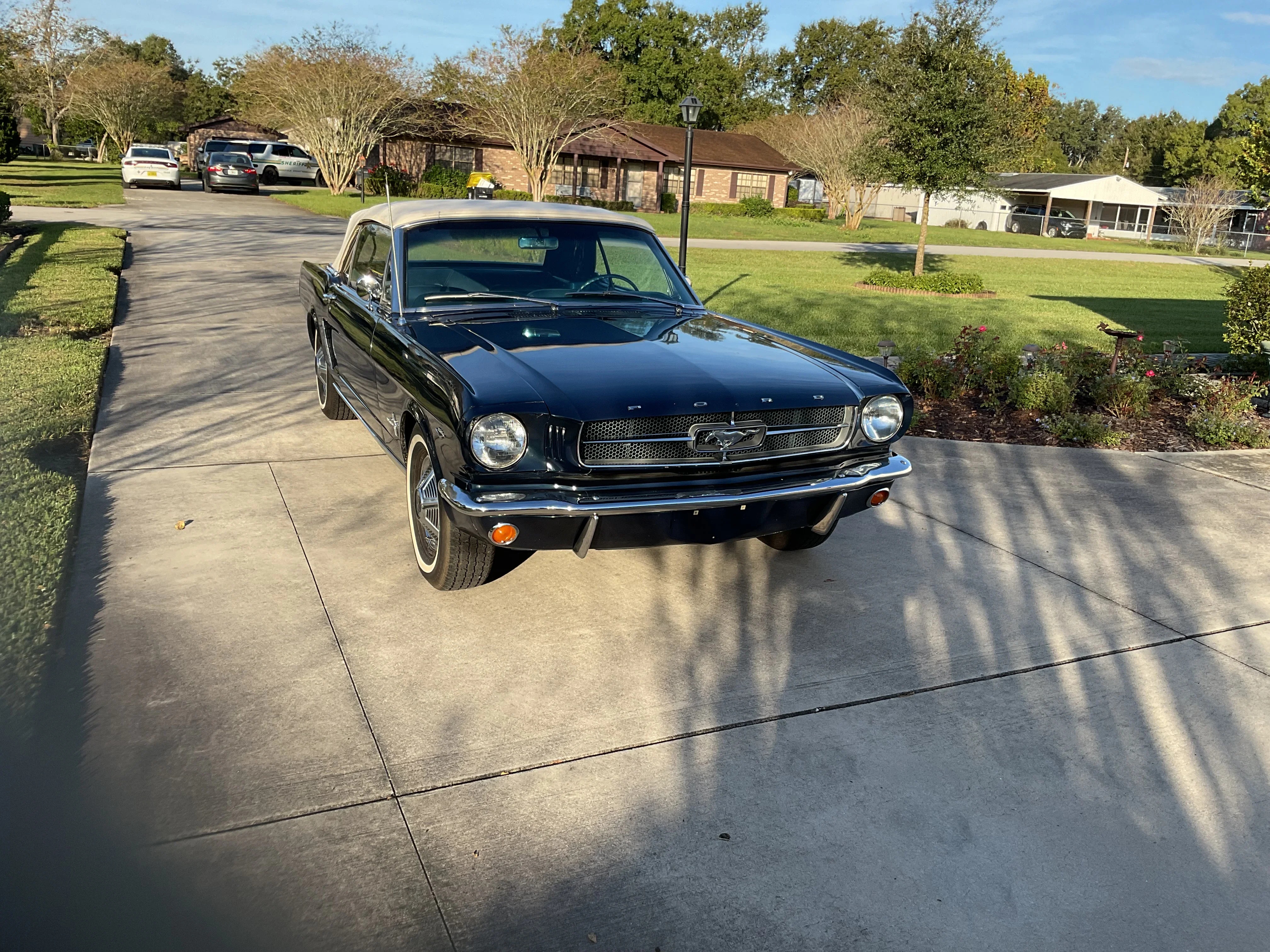 Ford-Mustang-1965-Blue-Blue