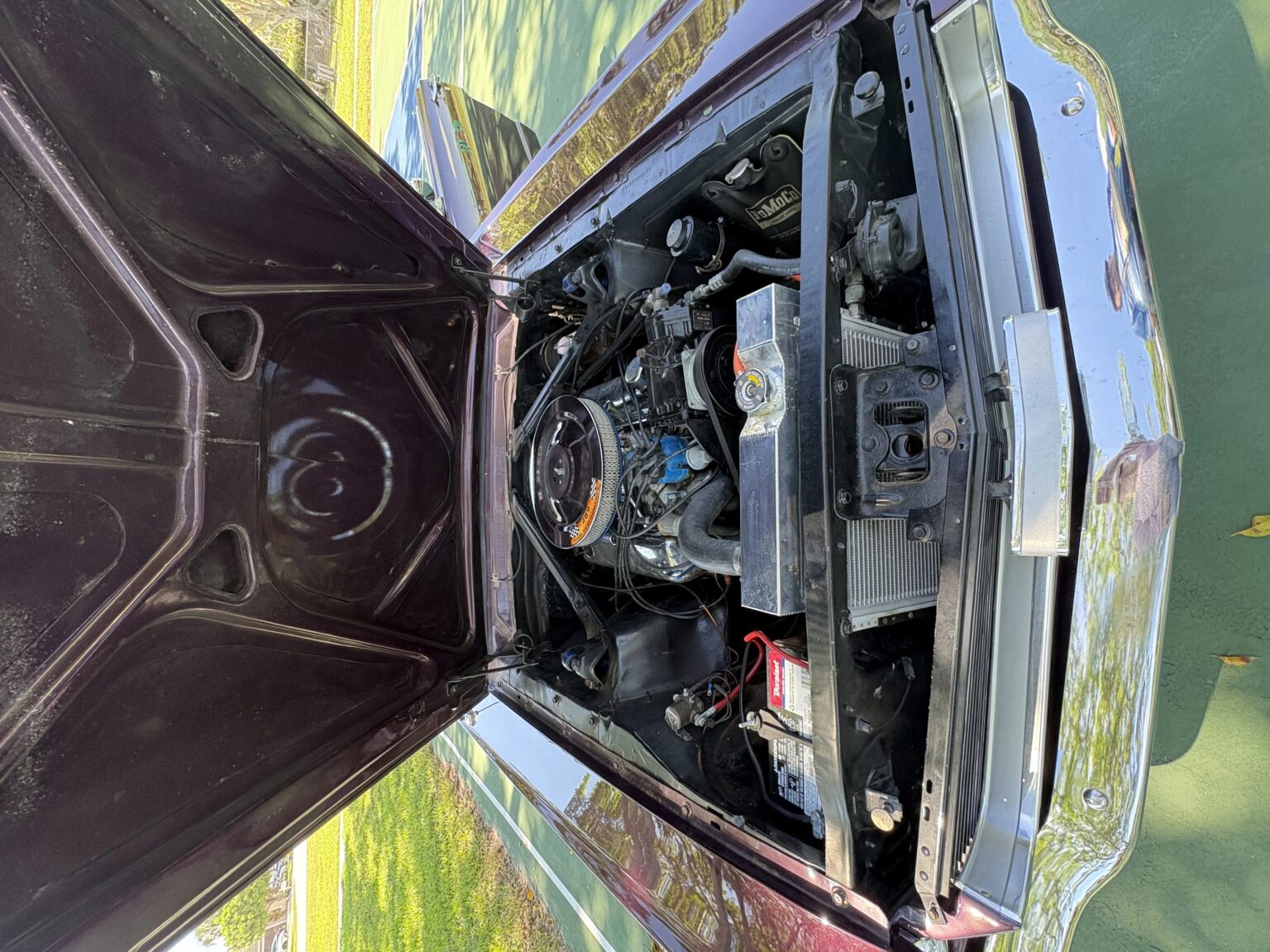 Ford Mustang 1966, photo 1