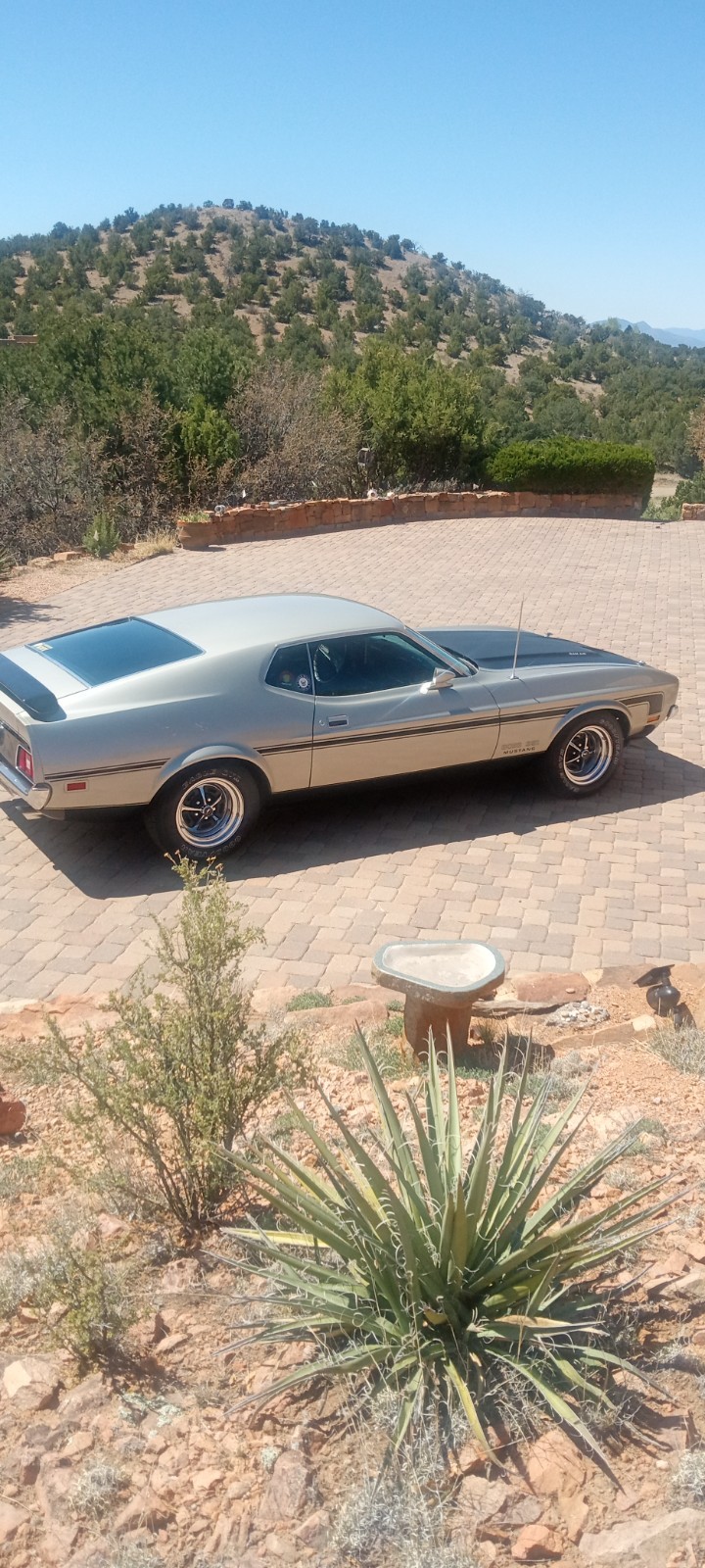 Ford Mustang 1971