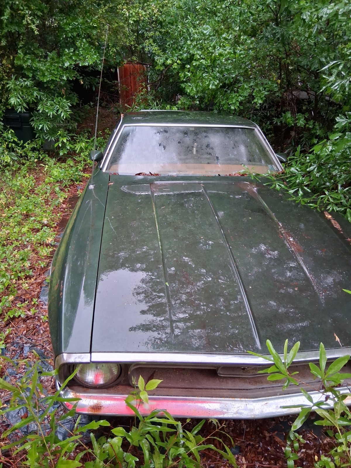 Ford-Mustang-1972-Fastback-Green