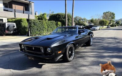 Ford Mustang 1973