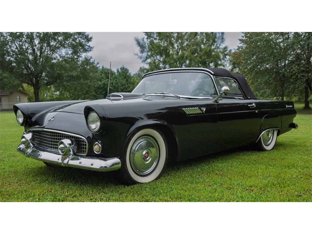 Ford-Thunderbird-1955-Black-Blackwhite