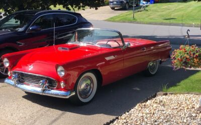 Ford Thunderbird 1955