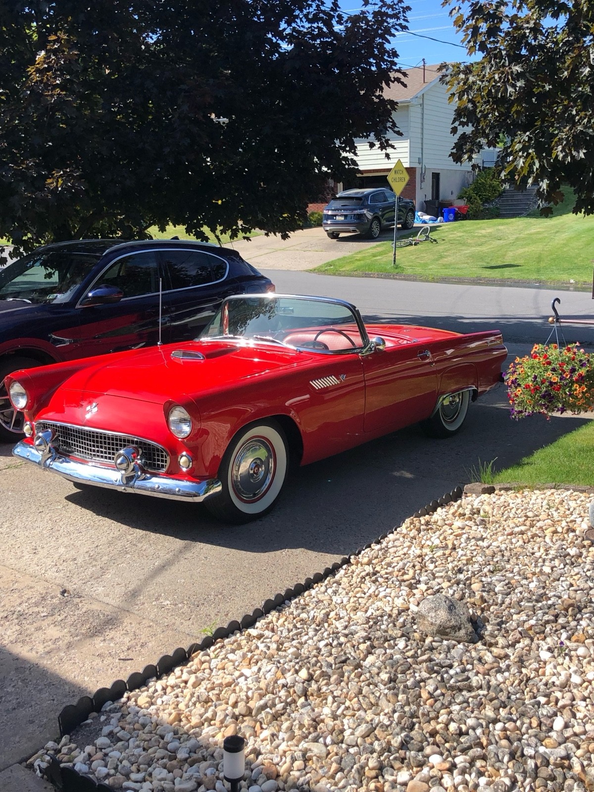 Ford-Thunderbird-1955-Convertible
