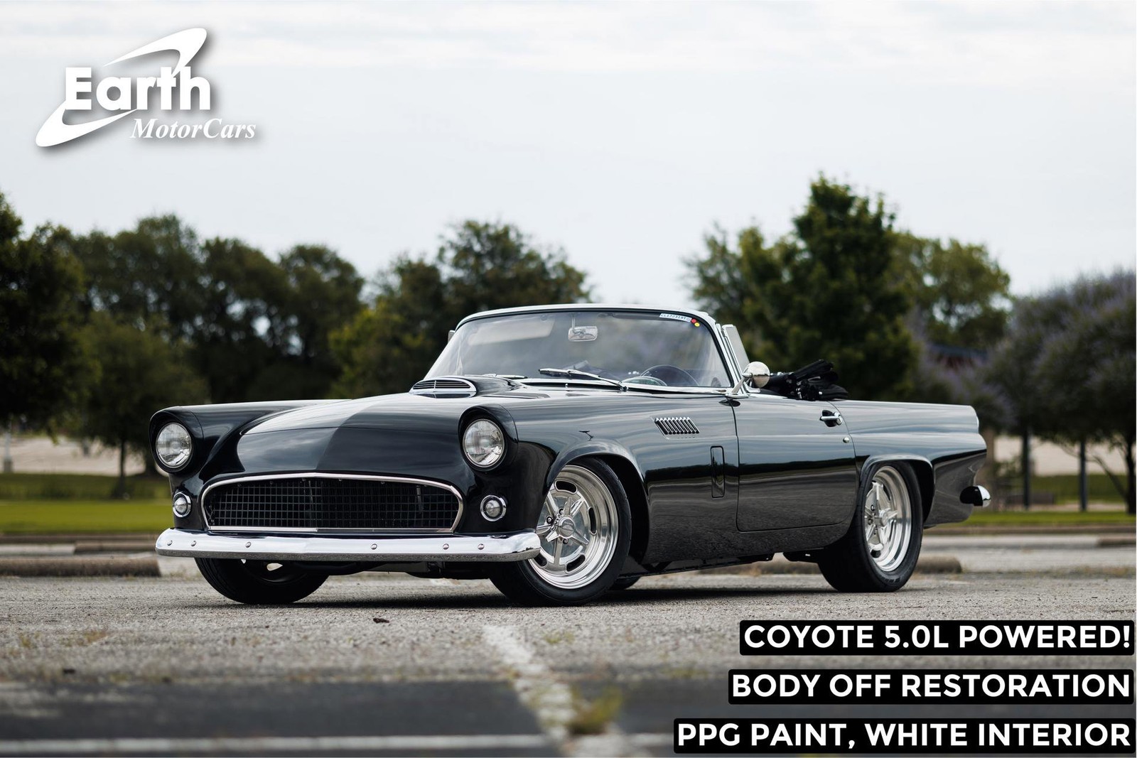 Ford-Thunderbird-1956-Convertible-Black-and-White