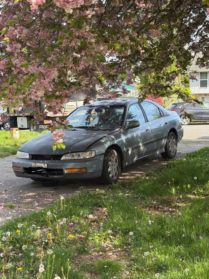 Honda-Accord-lx-1996-blue