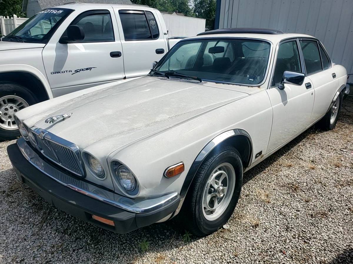 Jag-1976-white