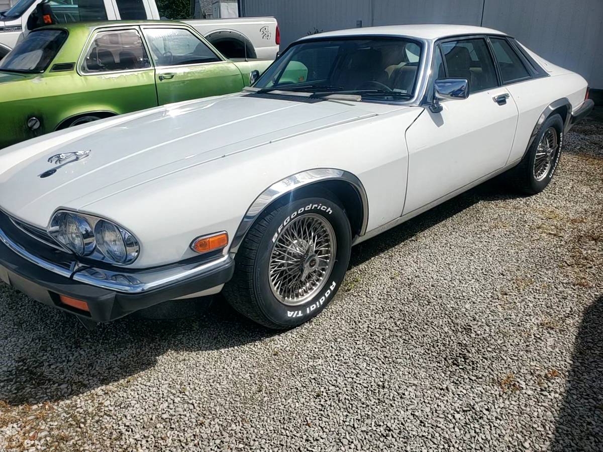 Jag-1989-white