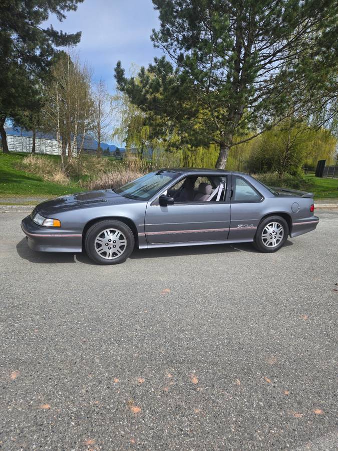 Lumina-z34-1993-grey