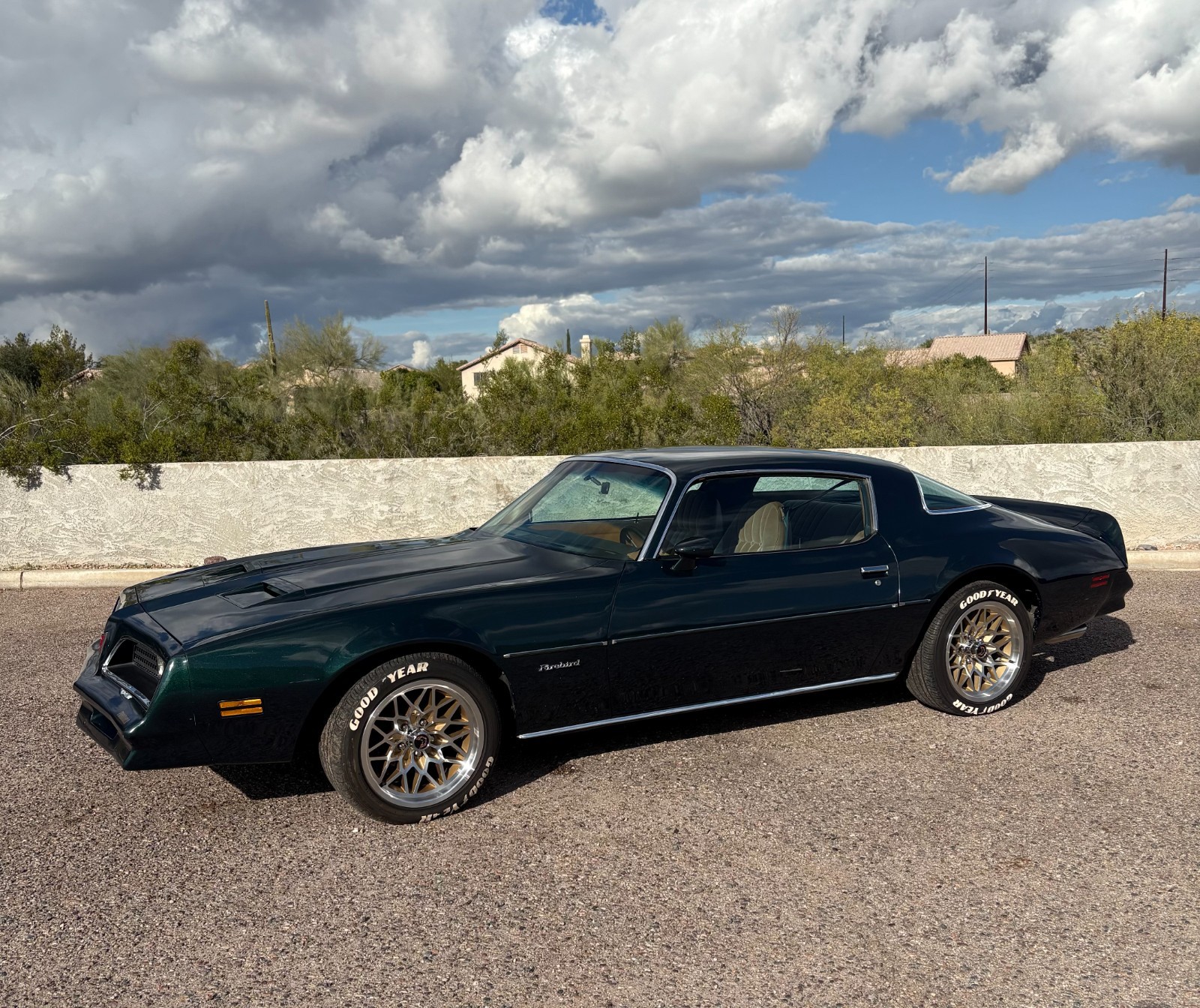 Pontiac-Firebird-1978-Coupe-Tan