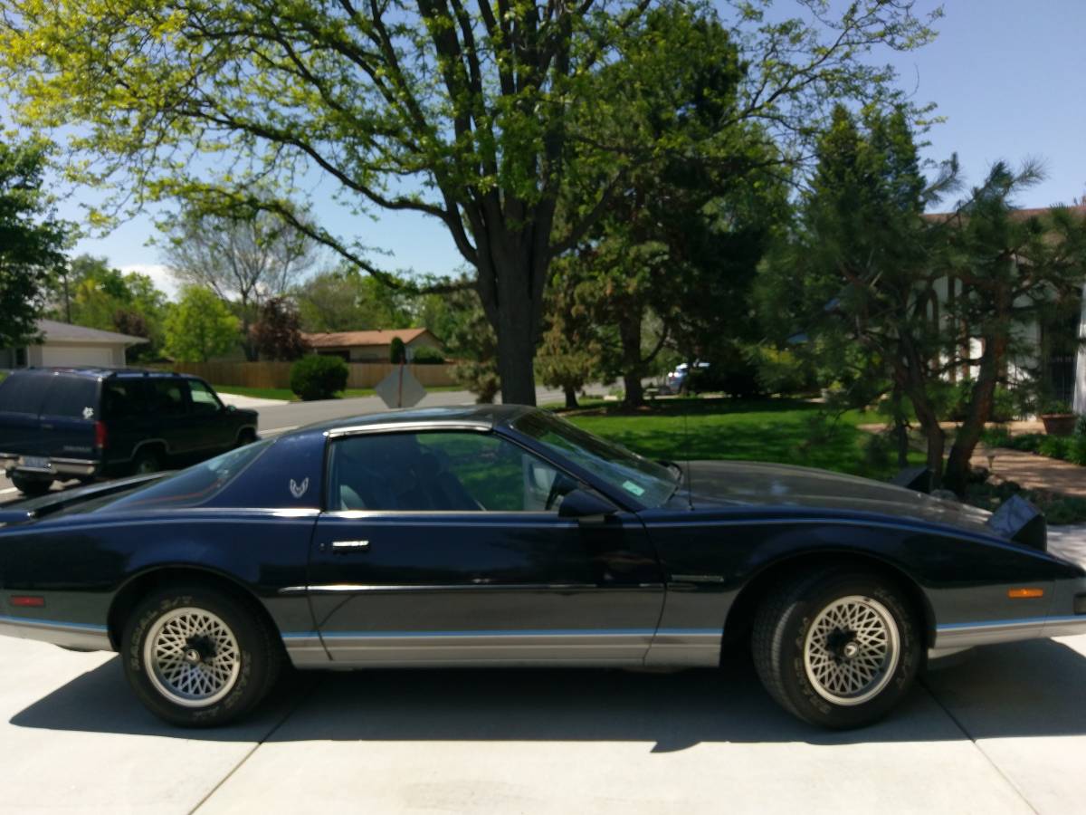 Pontiac-Firebird-1987-blue