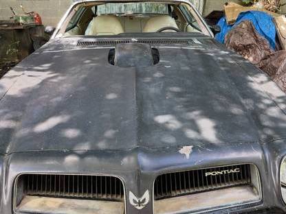 Pontiac-Firebird-trans-am-1974