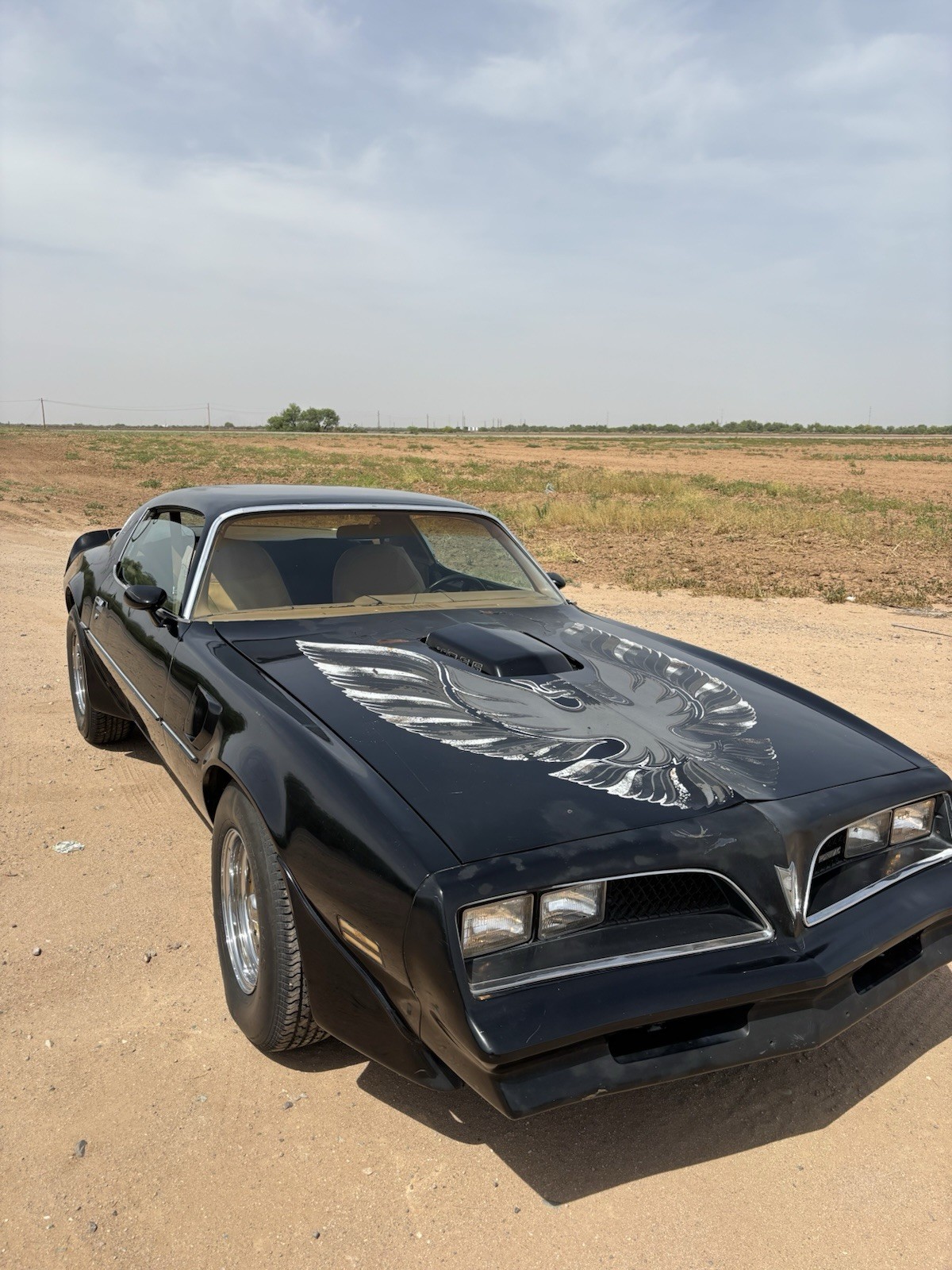 Pontiac-Trans-Am-1978-Coupe-Tan