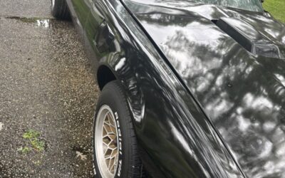 Pontiac Trans Am 1979