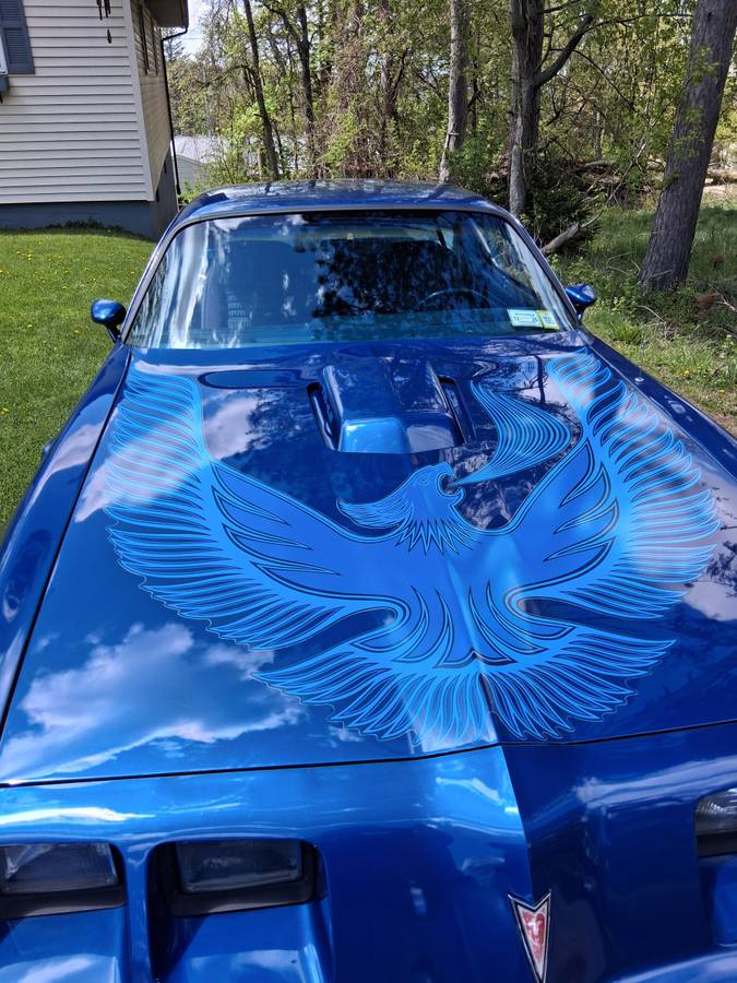 Pontiac-Trans-am-1981-blue