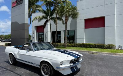Shelby  1967