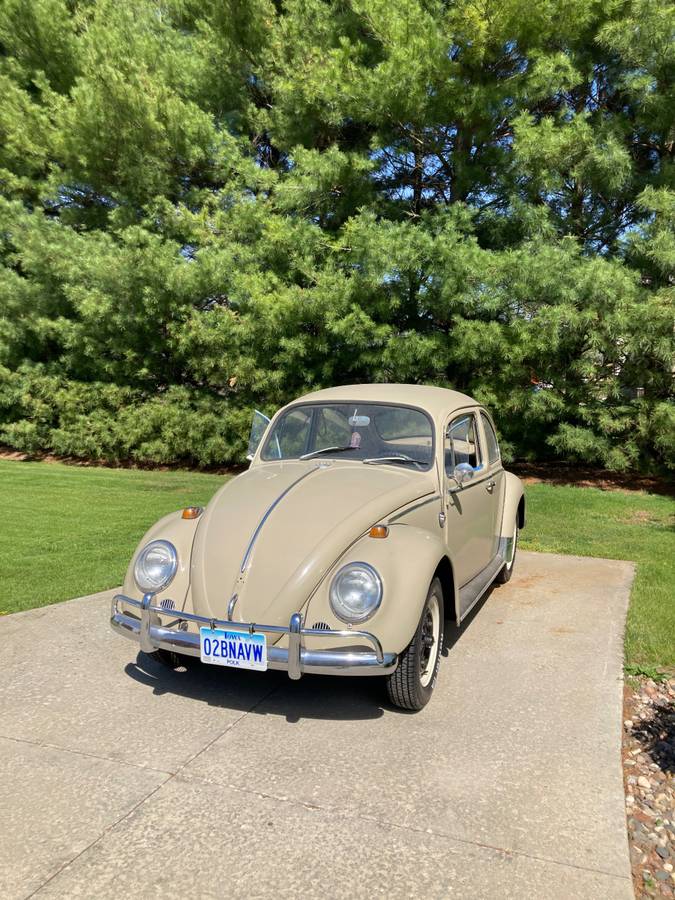 Volkswagen-Beetle-1966