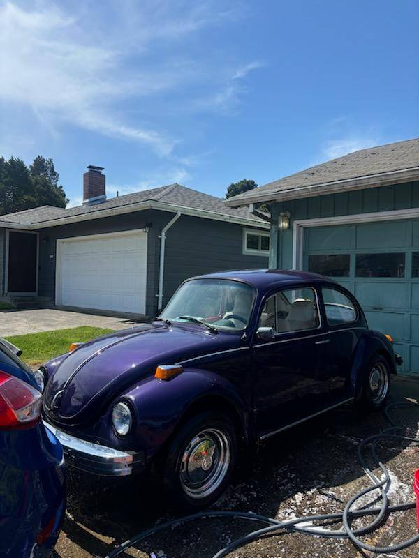 Volkswagen-Bug-1974-purple