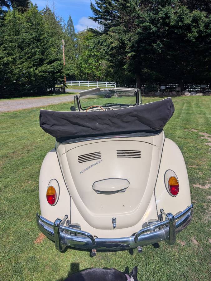 Vw-beetle-1967-white