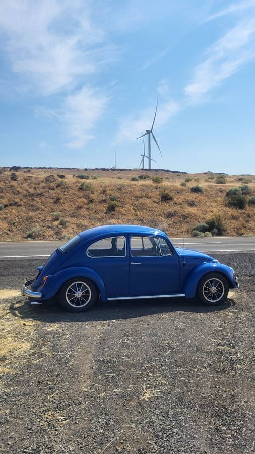 Vw-bug-1966
