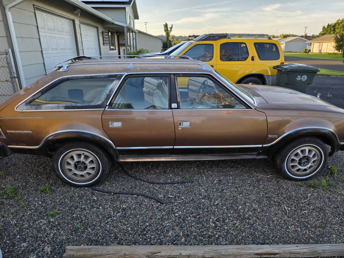Amc-Eagle-wagon-1980-brown