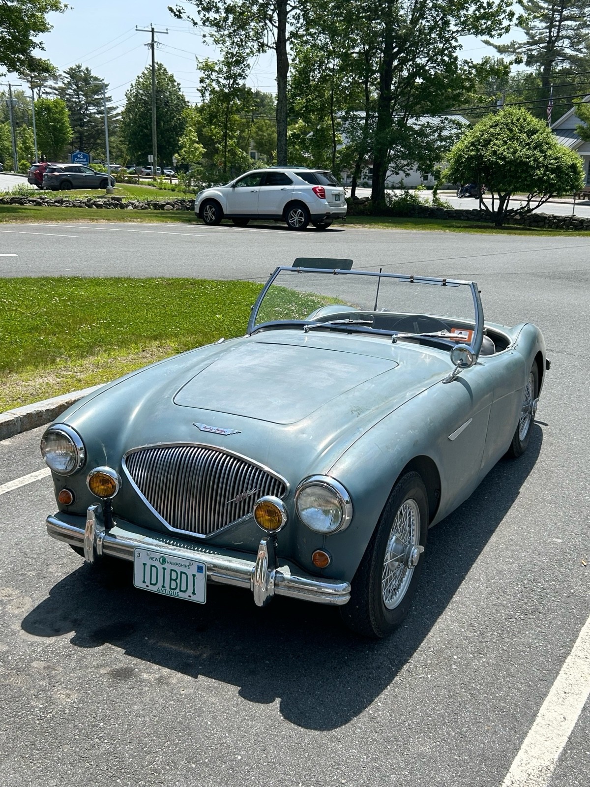 Austin Healey 100 1955