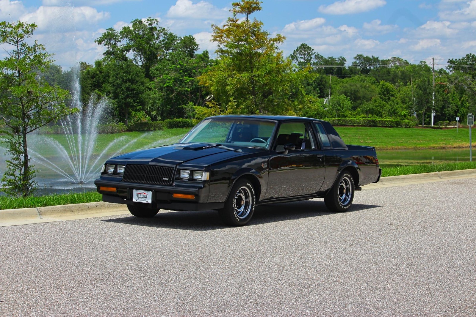 Buick-Regal-1987-Coupe-Gray