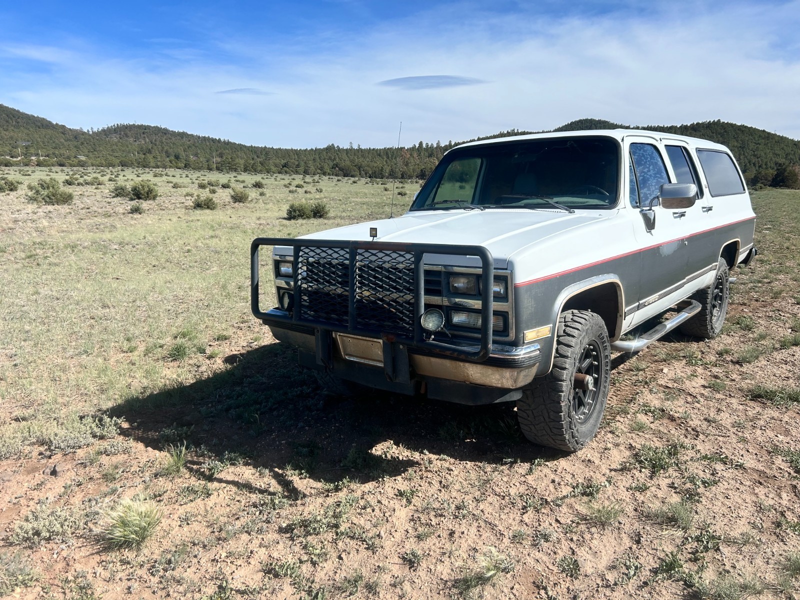 Chevrolet 1500 1989