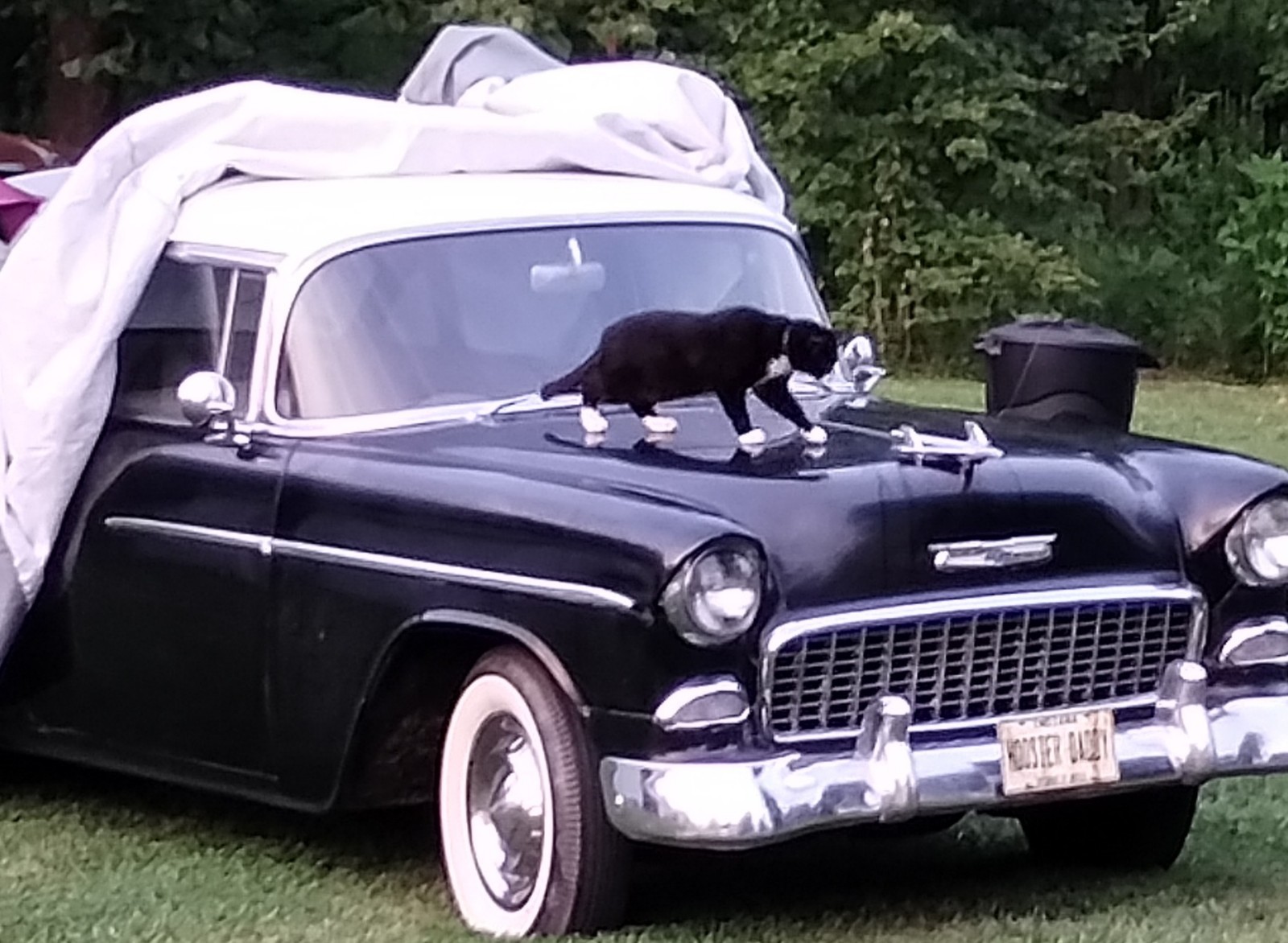 Chevrolet Bel Air 1955
