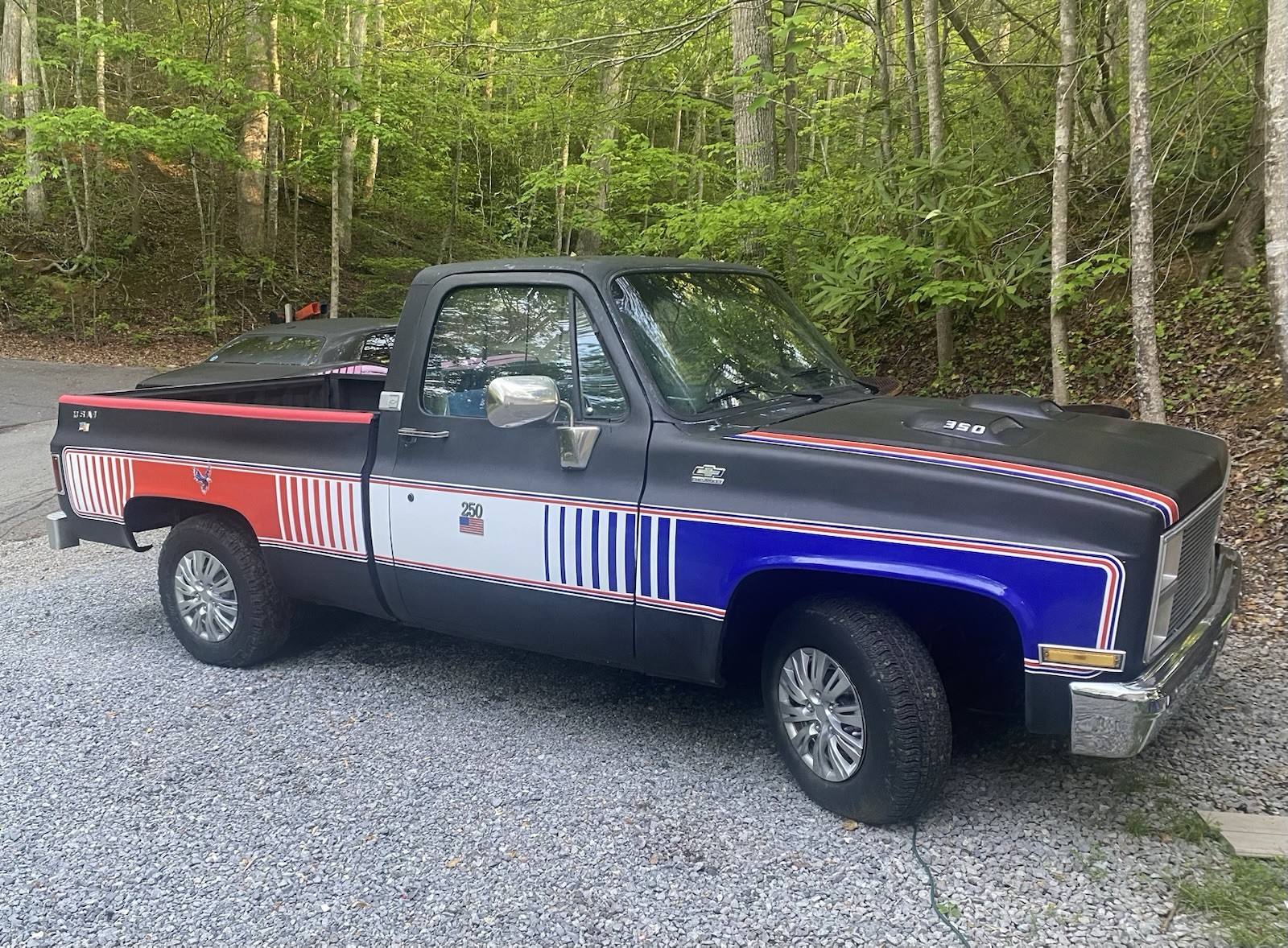 Chevrolet-C10-1981-Standard-Cab-Pickup-Blue