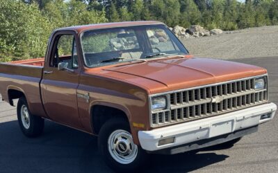 Chevrolet C10 1981