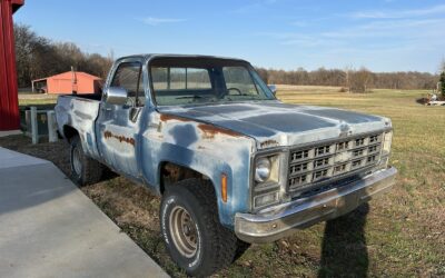 Chevrolet C/K Pickup 1500 1979
