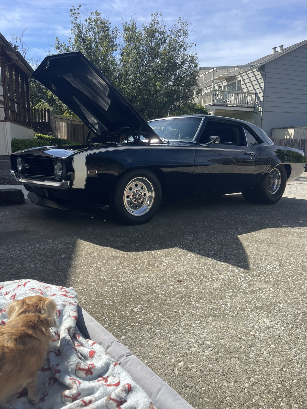Chevrolet Camaro 1969
