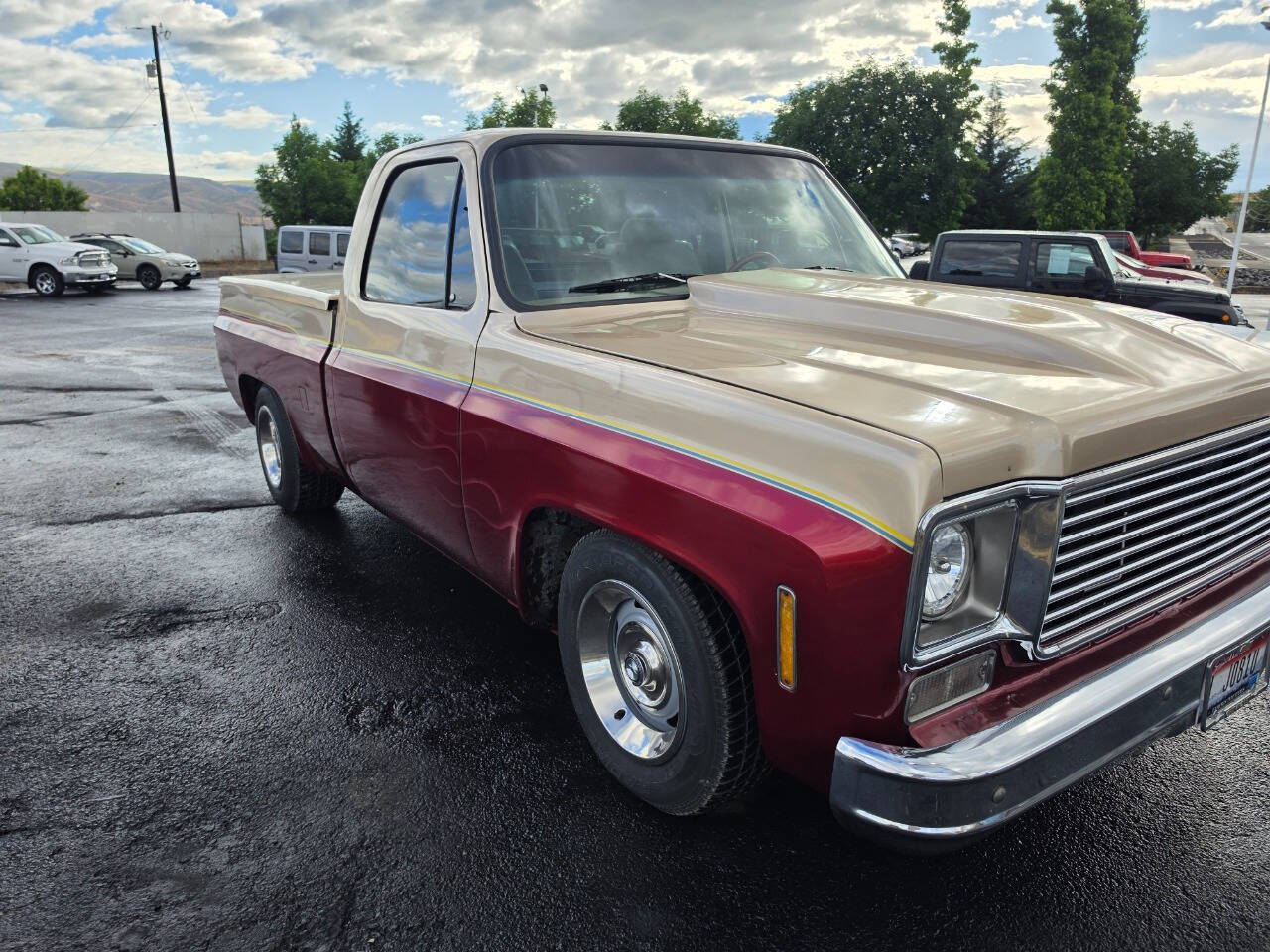 Chevrolet-Ck-10-series-1977-Champagne-Tan