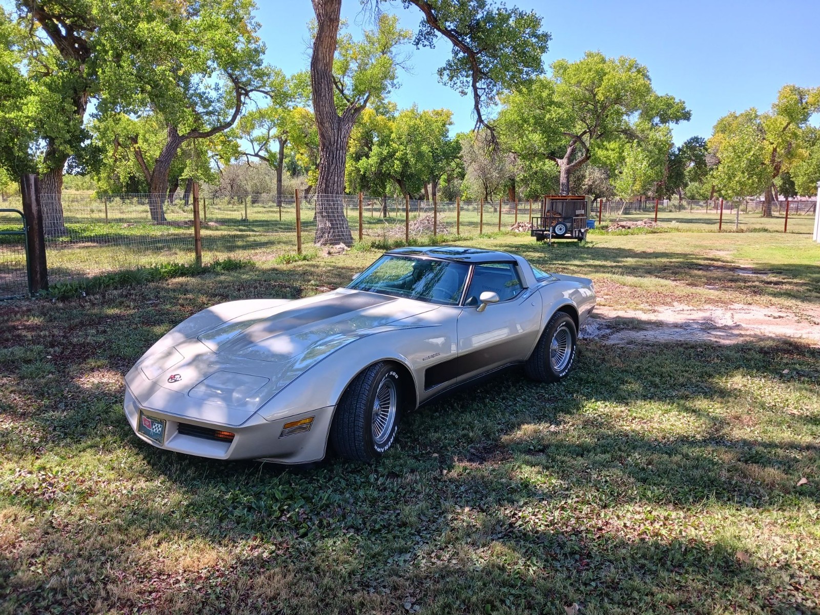 Chevrolet Corvette 1982