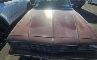 Chevrolet Monte Carlo 1981