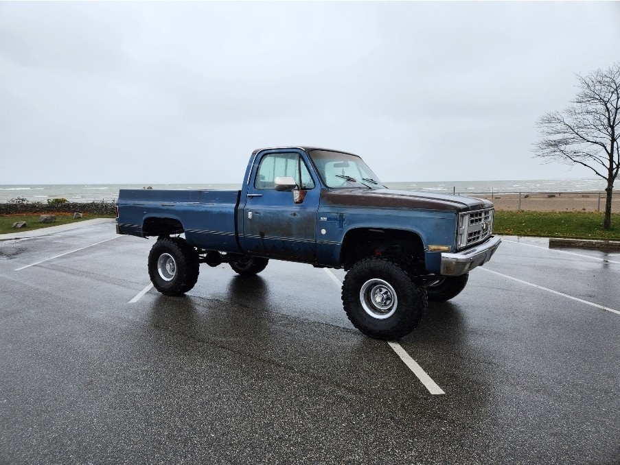 Chevrolet Other Pickups 1981