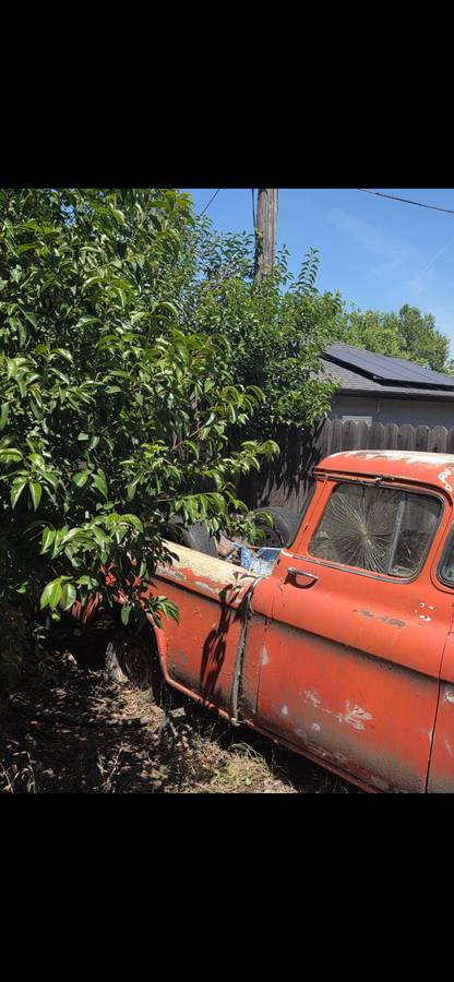 Chevy-cameo-truck-1955