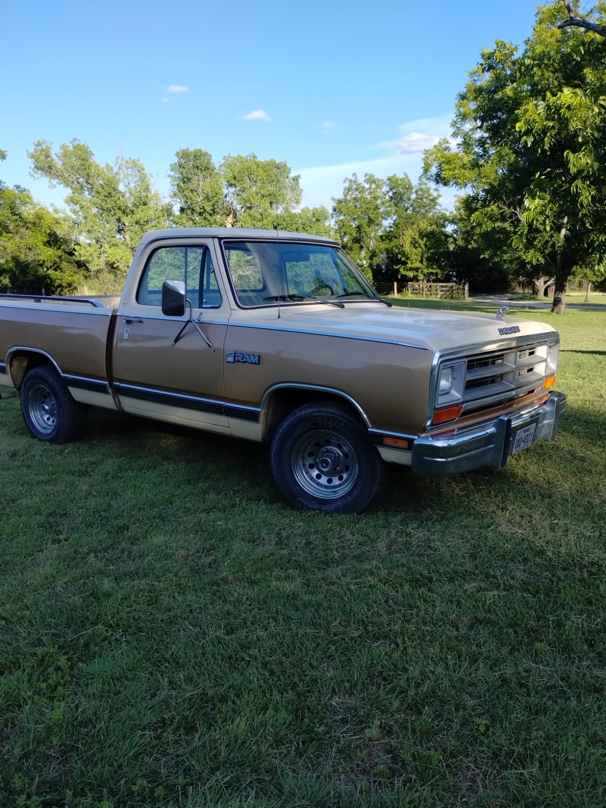 Dodge 1/2 Ton Pickup 1986