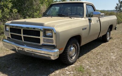 Dodge D-Series 1993